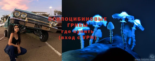 ГАЛЛЮЦИНОГЕННЫЕ ГРИБЫ Переславль-Залесский