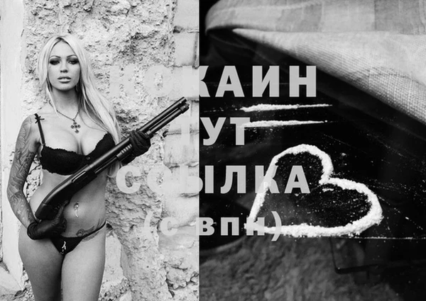 прущие грибы Армянск
