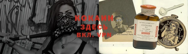 прущие грибы Армянск