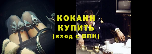 прущие грибы Армянск