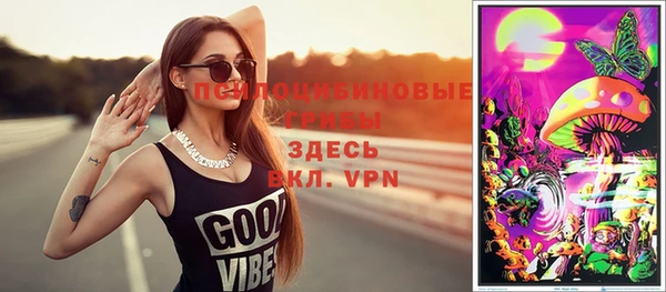 стафф Аркадак