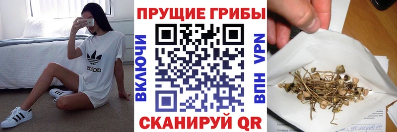 где купить наркоту  блэк спрут ссылки  Галлюциногенные грибы мицелий  Рыбное 